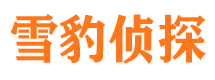 钟楼市侦探调查公司